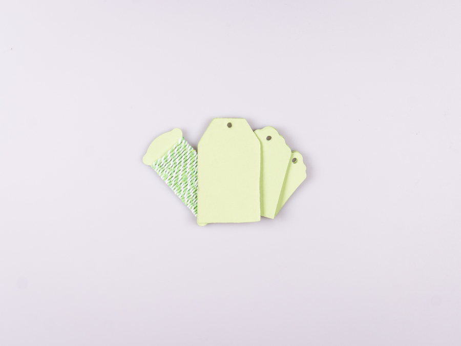Geschenklabel Papier "Color", 15er Set - grün