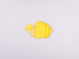 Geschenklabel Papier "Color", 15er Set - gelb