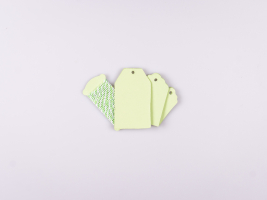 Geschenklabel Papier "Color", 15er Set - grün